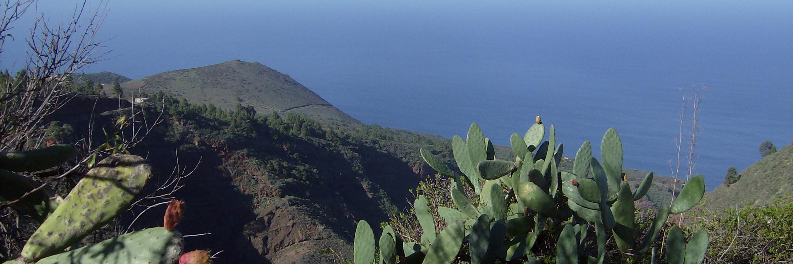 Bertus Wennink banner