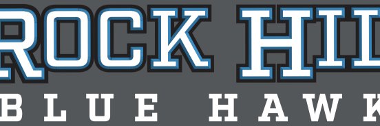 Ronald Planks banner