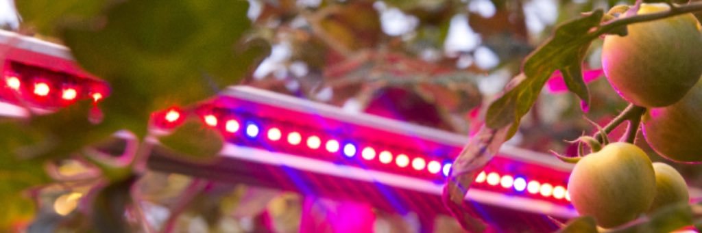 frankhollaar's profile banner image