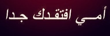 الهَياء banner
