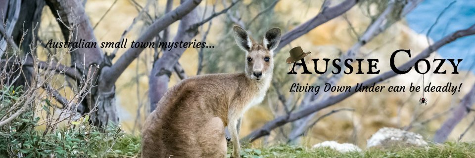 AussieCozy's profile banner image