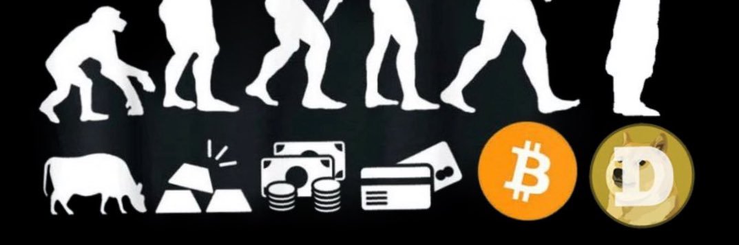 Tommy Kawila | Crypto • Coding • Cannabis 🌿💻💰 banner