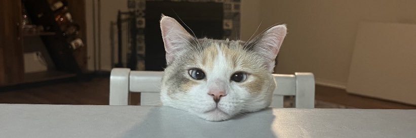 eddaergul's profile banner image