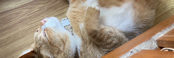 ch_minter Profile Banner