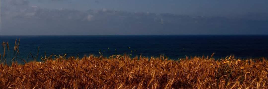 fusunseker's profile banner image