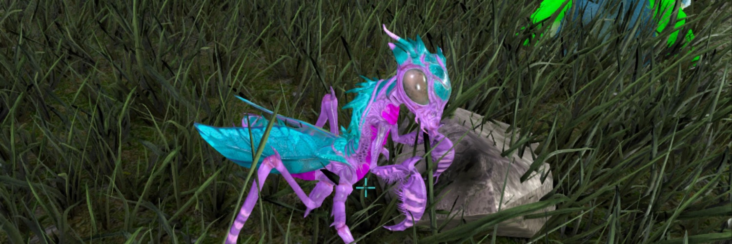 cazzie stevenson banner