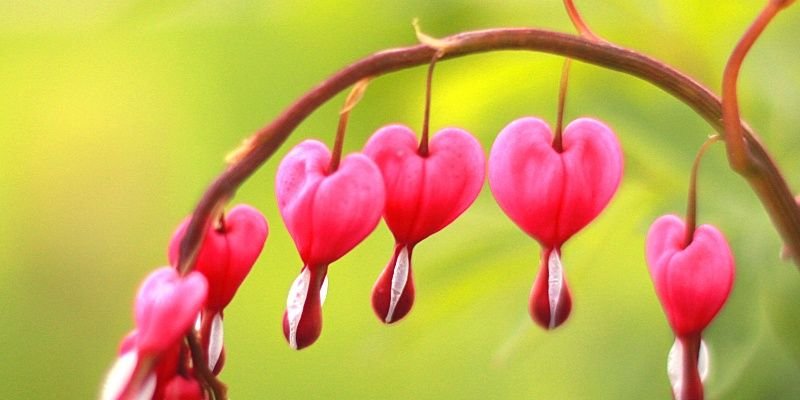BarbaraProper's profile banner image