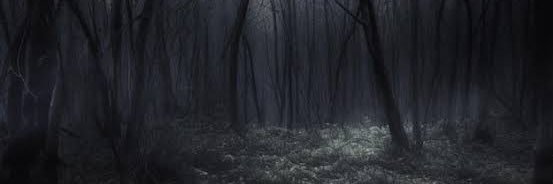 🐛 Scolipede | #545 🐛 Sleepy 💤 banner