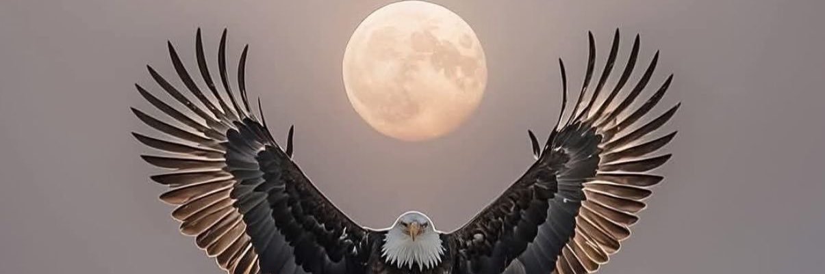 selimkuruoglu_'s profile banner image