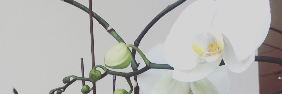 NadaAI's profile banner image
