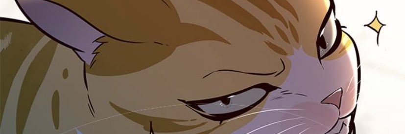 lysawithlyfe's profile banner image