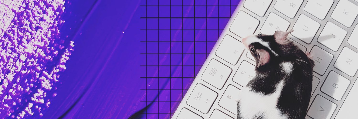 violet___ray's profile banner image
