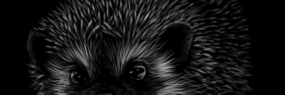 SeviiV's profile banner image