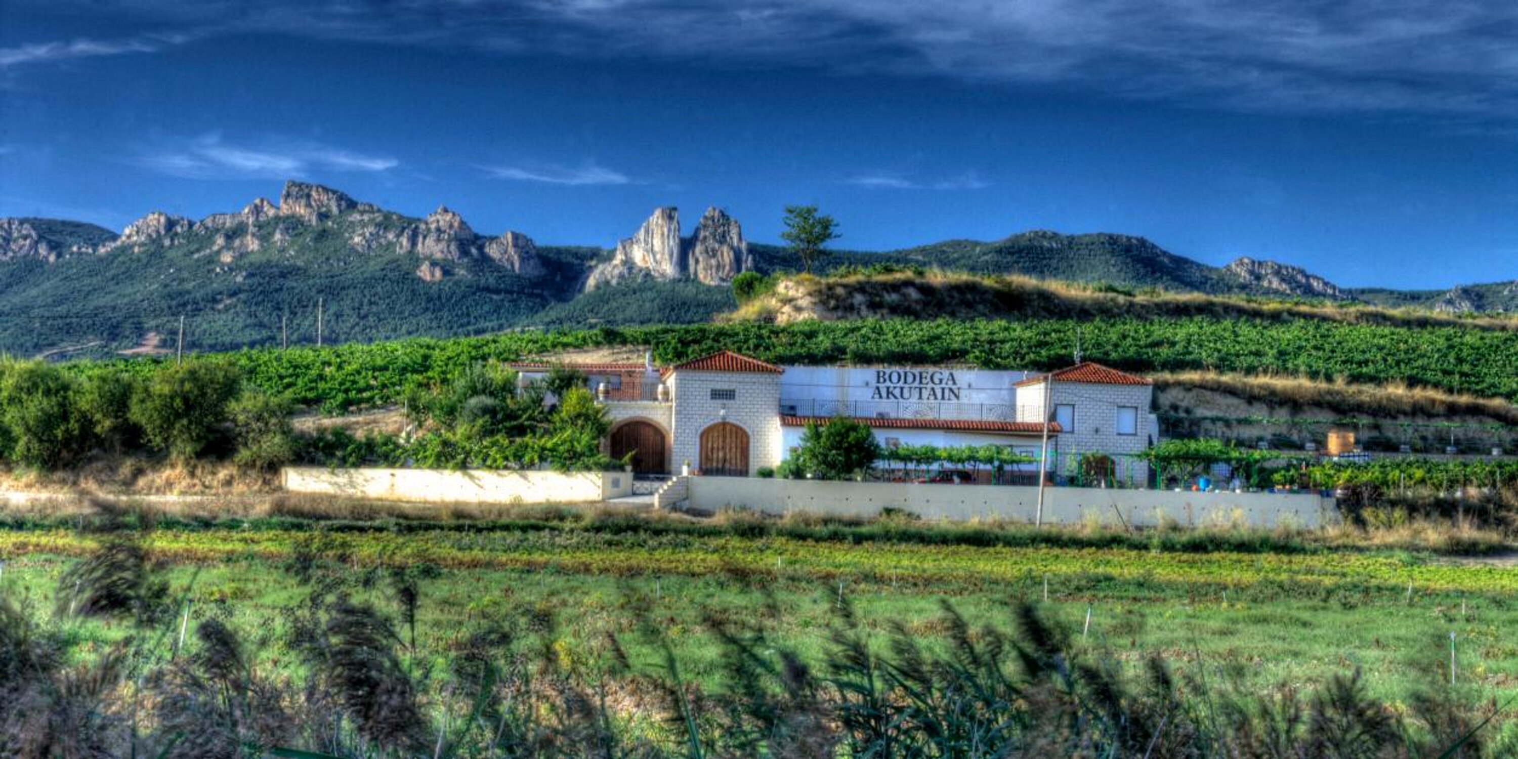 bodegaakutain's profile banner image