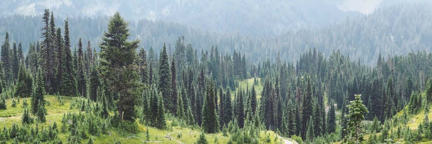 อิ้งคึ : 🥯 ) 🍞🥄 banner