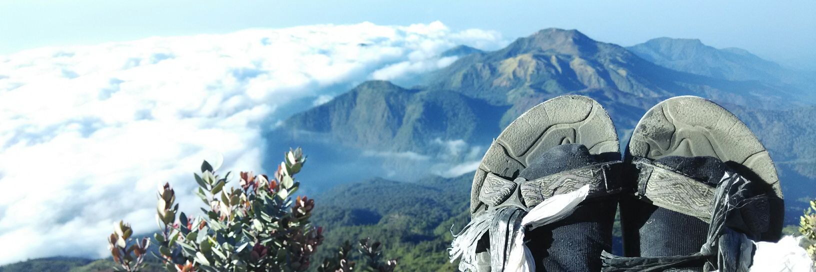 arismht's profile banner image