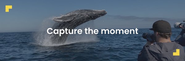 Newsflare Profile Banner