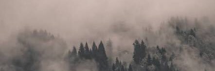 raihayas's profile banner image