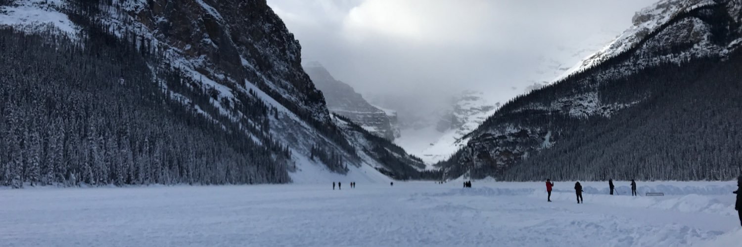 Chain Gretzky banner
