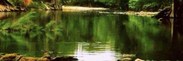 phunphian Profile Banner