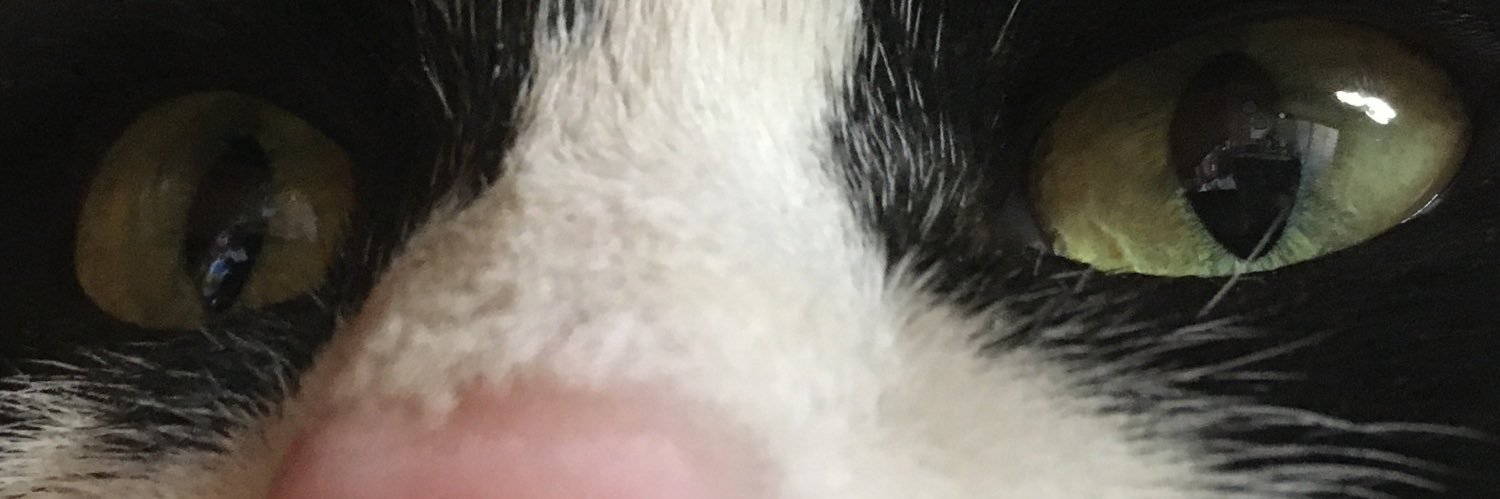 nyagaton's profile banner image
