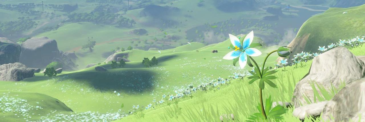 BB_CORN83's profile banner image