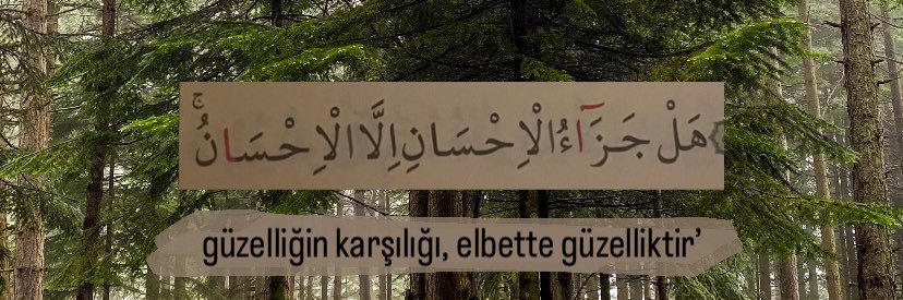 cnsksee's profile banner image