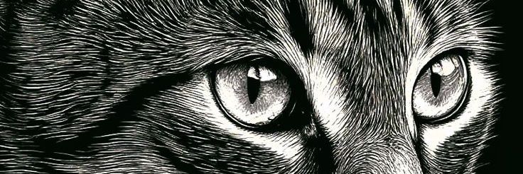 Jagem01's profile banner image