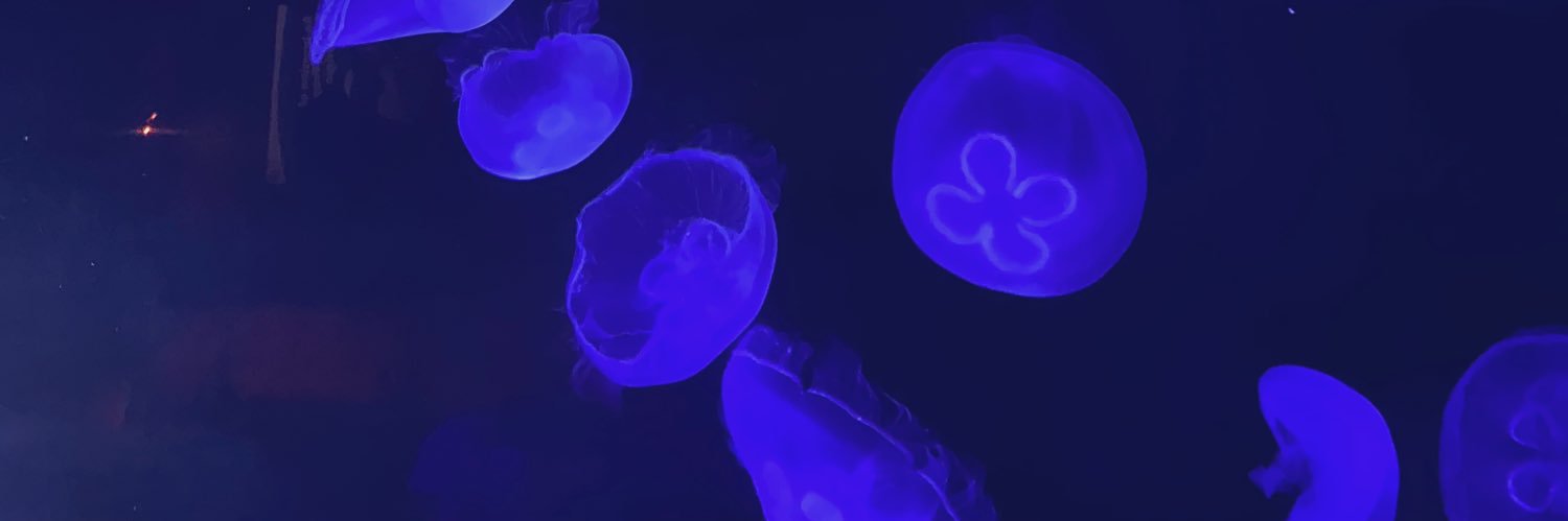 Jellywhite13's profile banner image