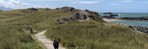 AlonaWelby Profile Banner