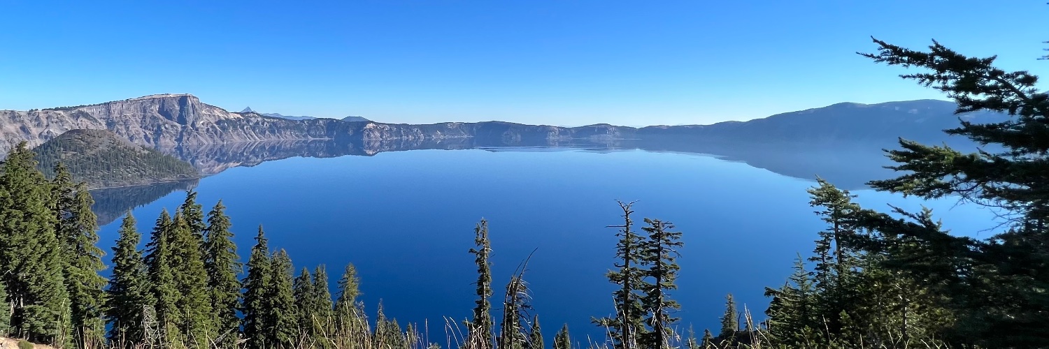 Michael A. Fedderke banner