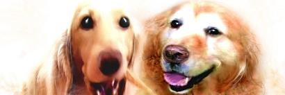 aikasur's profile banner image