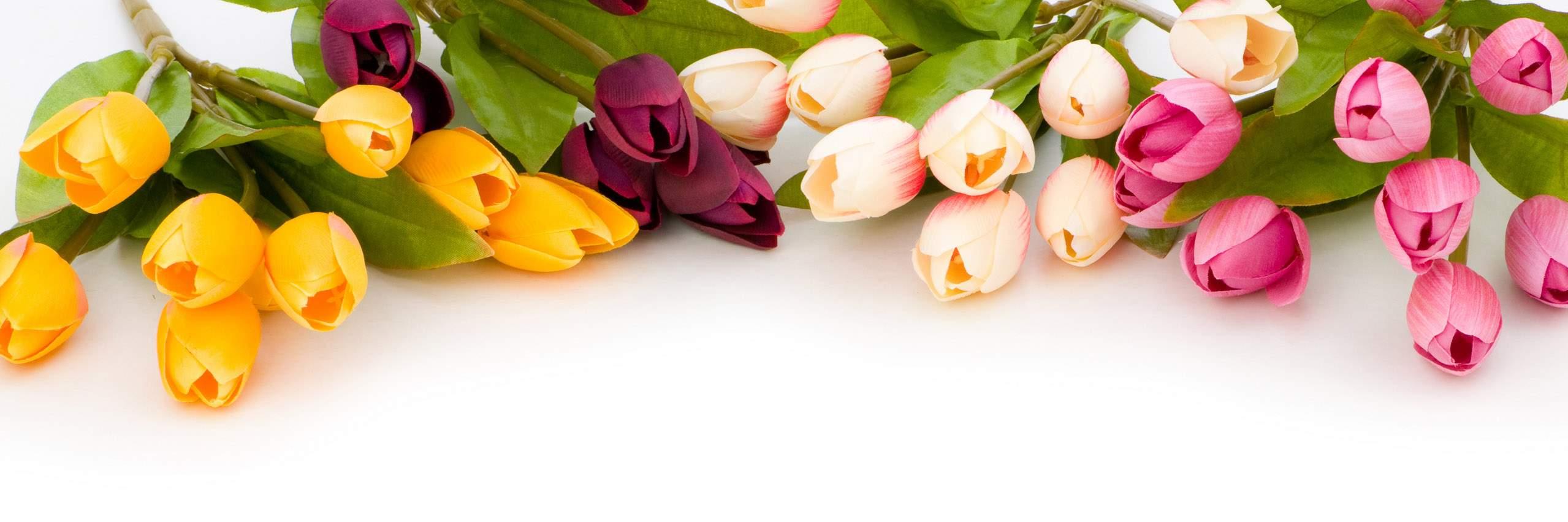 Martha Florencia Endika banner