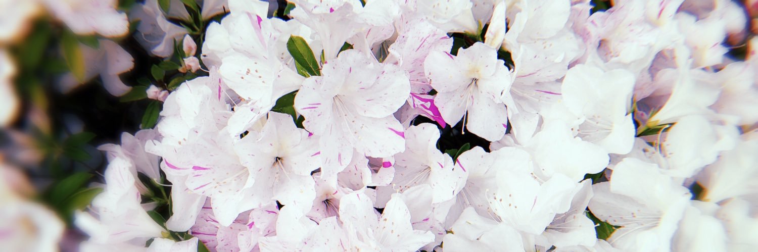 shift_delete__'s profile banner image