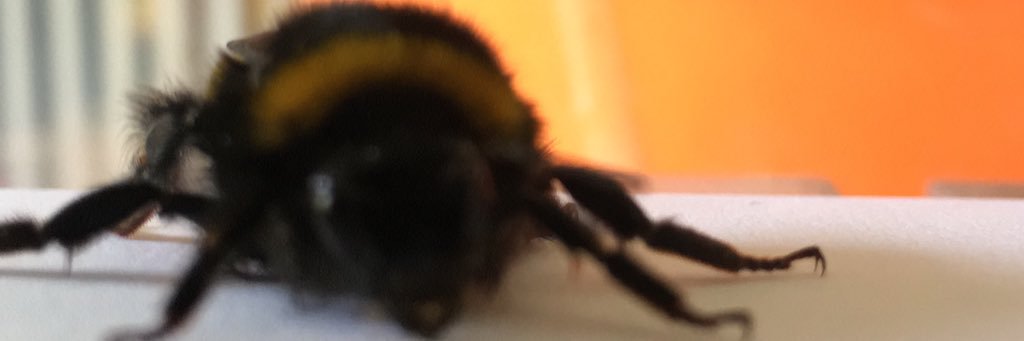 Nudgefuggets's profile banner image