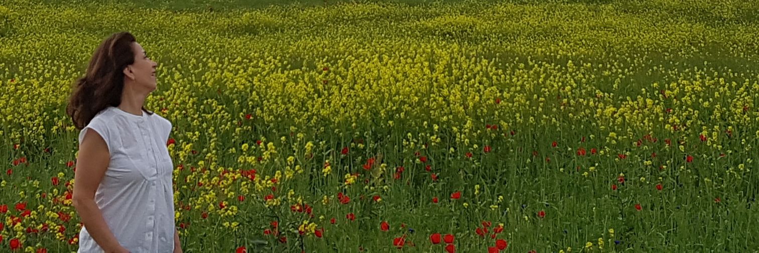 Hamailok Dizayee banner