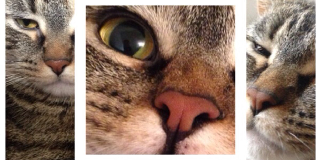 Jamesatronic's profile banner image