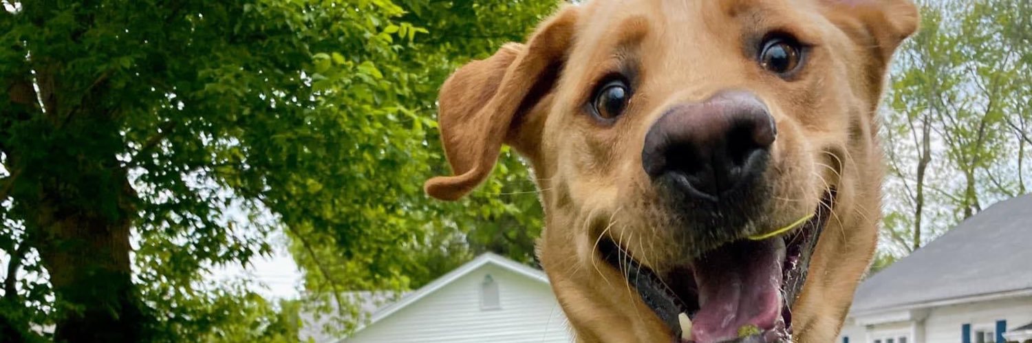 CaseyMcCollum's profile banner image