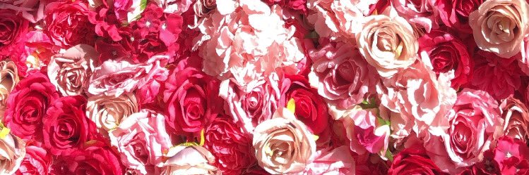 rumseed's profile banner image