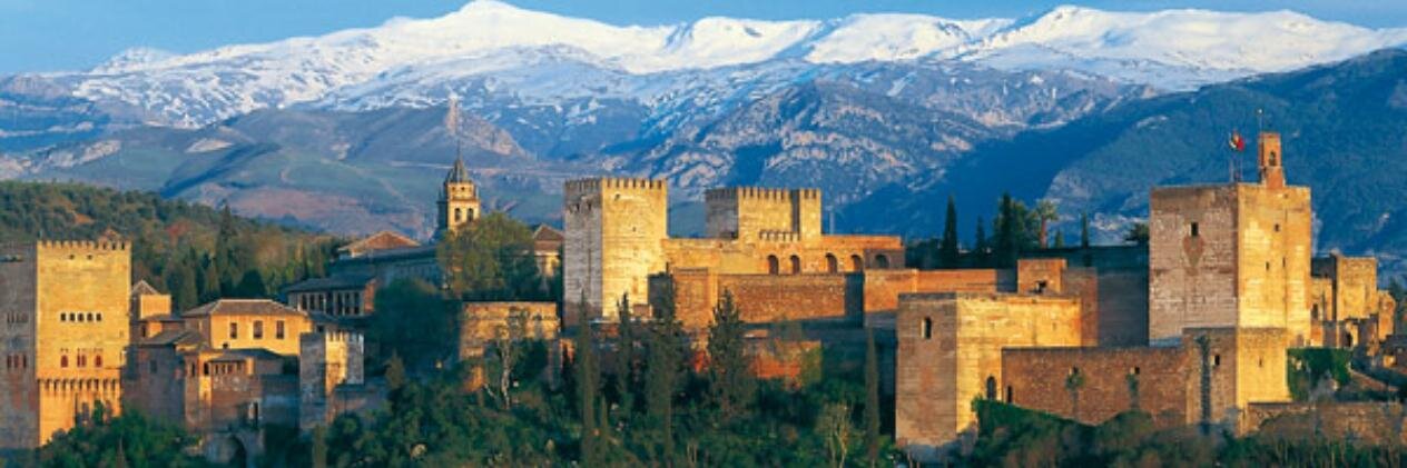 jͥαvͣiͫ 🧑🏻‍🏫🧑🏻‍🔬🧬🔬➫👨🏻‍🎓👩🏻‍🎓 banner