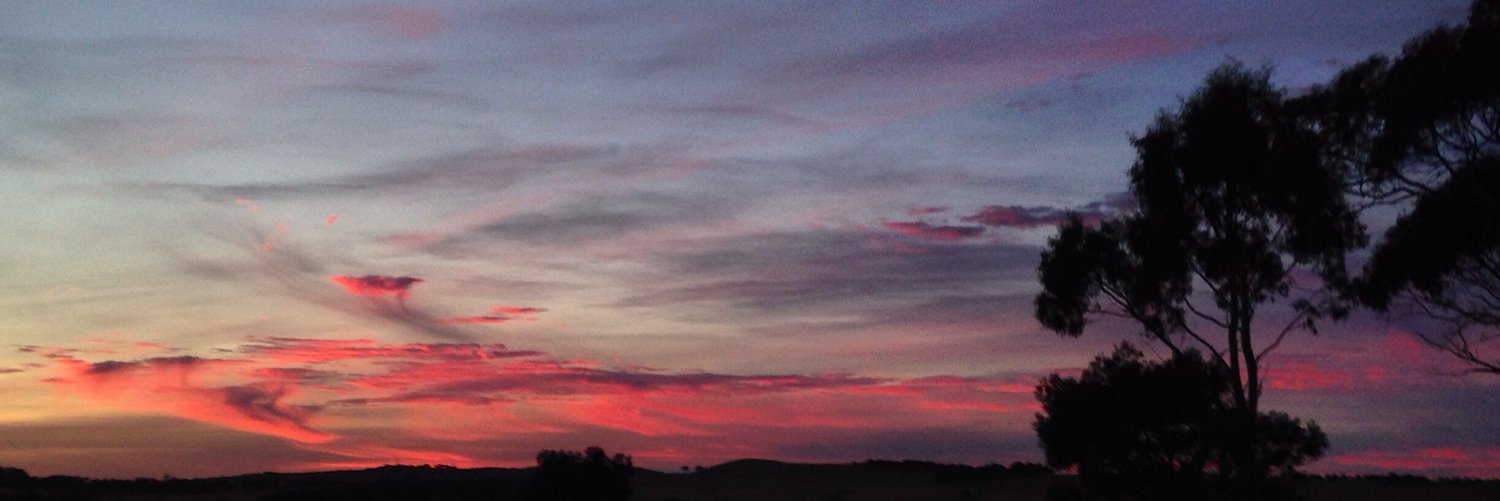 Adrian Wilson banner