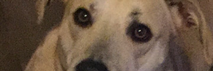 Tylerkillen11's profile banner image