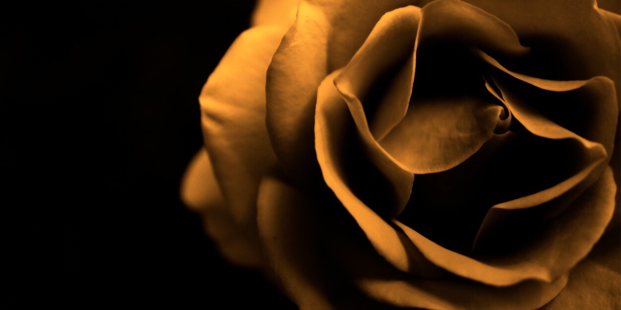 m_lanzetta's profile banner image