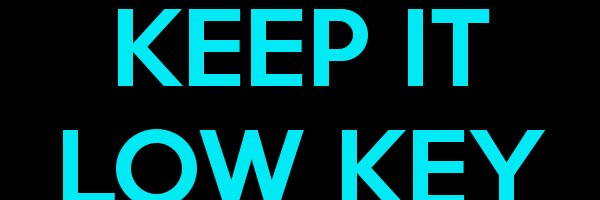 LowKeyGamerGuy's profile banner image