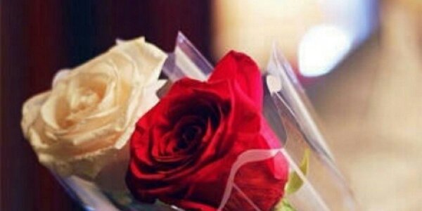 81Zoz's profile banner image