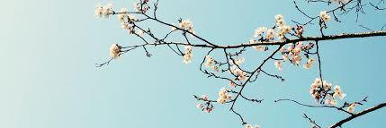 S2__YJH_'s profile banner image