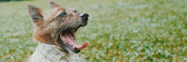 ryanch33se Profile Banner