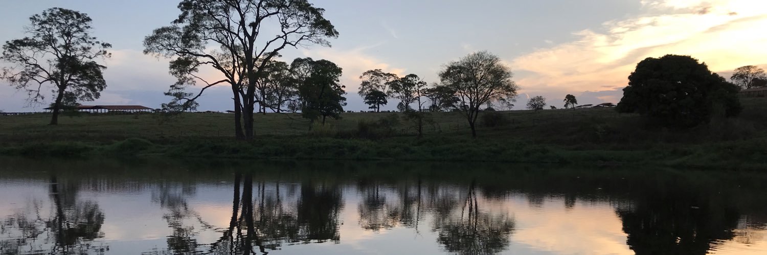 eraleles's profile banner image