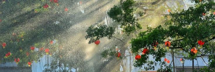 𝑉𝑎𝑙𝑒𝑟𝑖𝑒𝑛𝑛𝑒 𝑃𝑎𝑠𝑘𝑎. banner