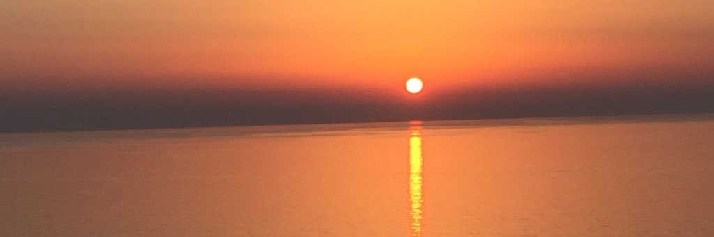 GraceLaurMartin's profile banner image